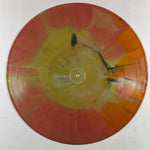 The Flaming Lips - 2012/2013