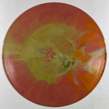The Flaming Lips - 2012/2013