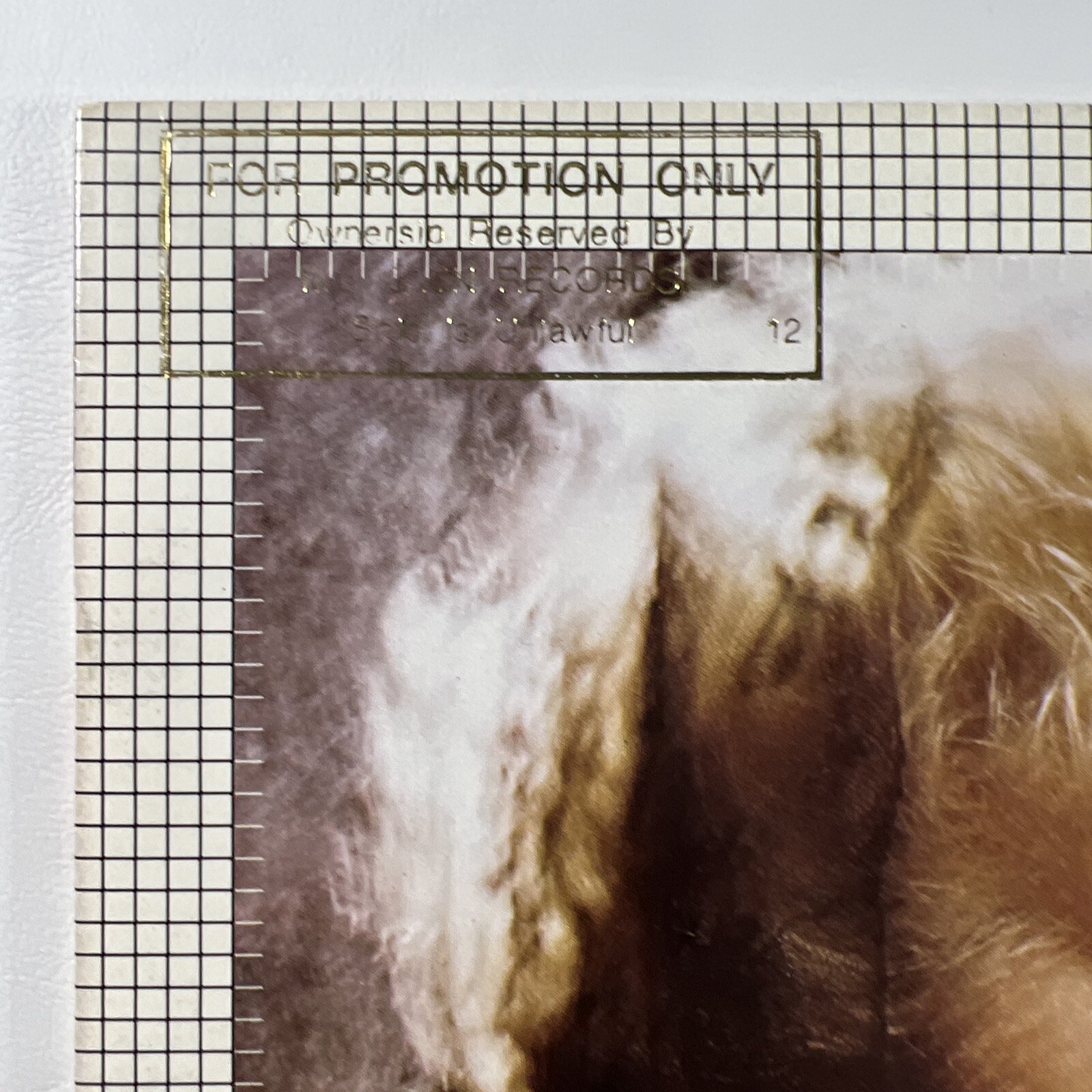 Wolf & Wolf “Self-Titled” LP/Morocco Promo 6046CL (EX) 1984 - Image 2