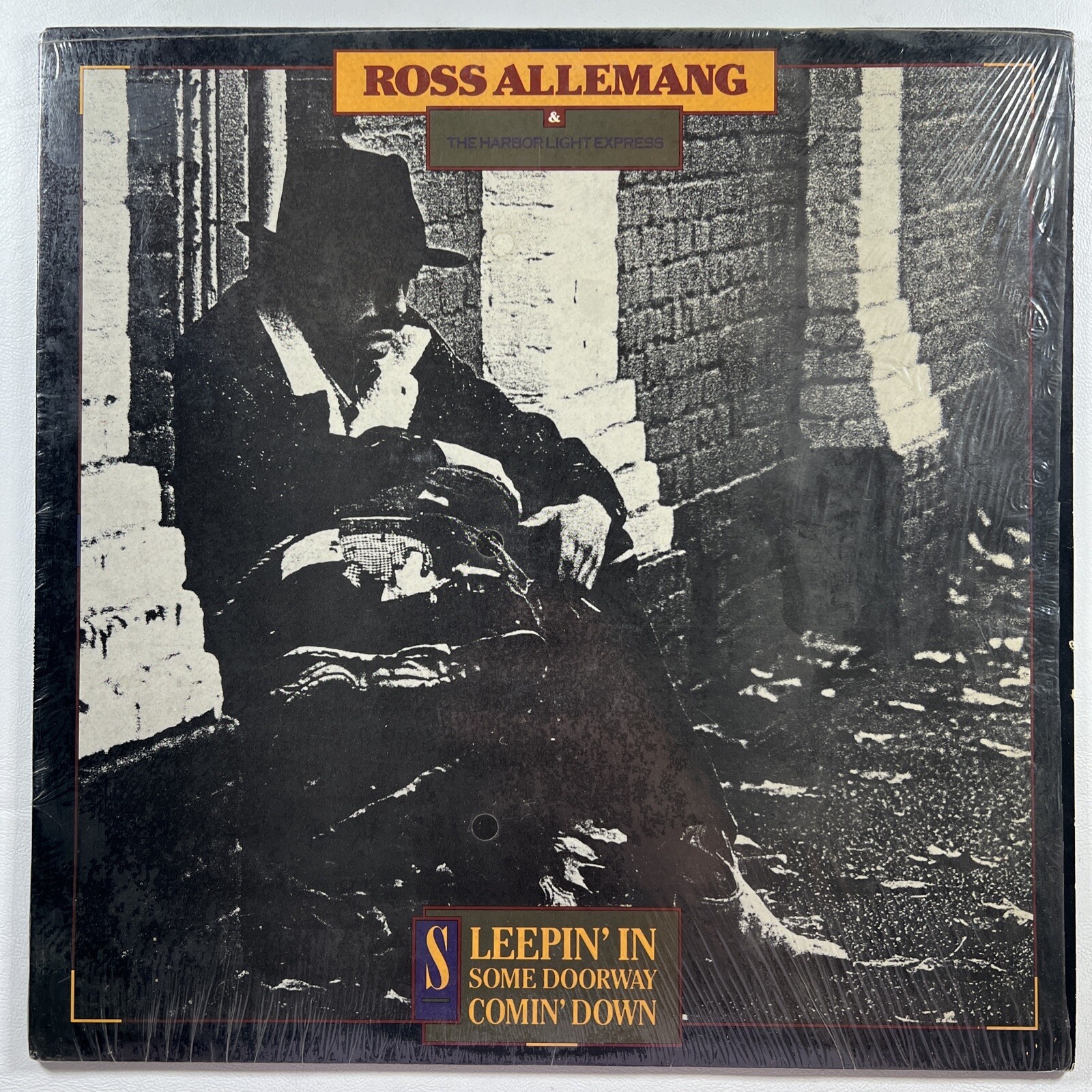 Ross Allemang “Sleepin' In Some Doorway Comin' Down” LP/Reanja 001 (EX) 1988