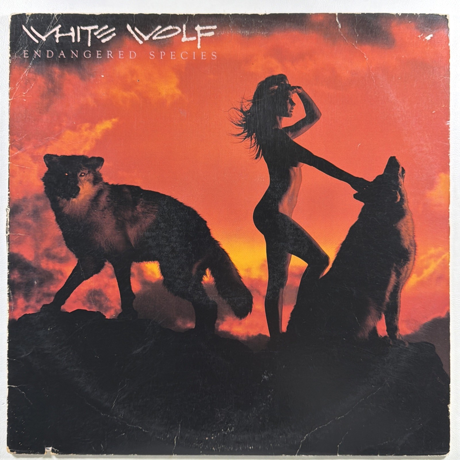 White Wolf - Endangered Species LP RCA AFL1-9555 EX 1986 Heavy Metal Rock