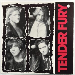 Tender Fury - Self Titles LP Posh Boy D1-74777 EX 1988 Alternative Indie Rock