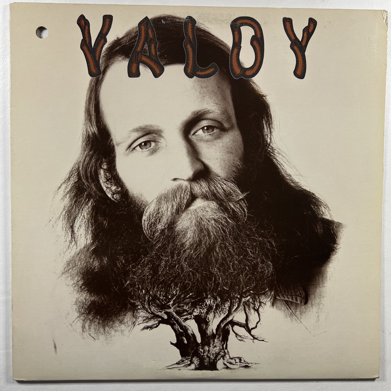 Valdy “Country Man” LP/A&M Records HL 5101 (EX) Canada Reissue 1972