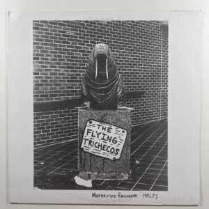 Flying Trichecos “Flying Trichecos” EP/Mastermind Records (EX) 2011 Single Sided