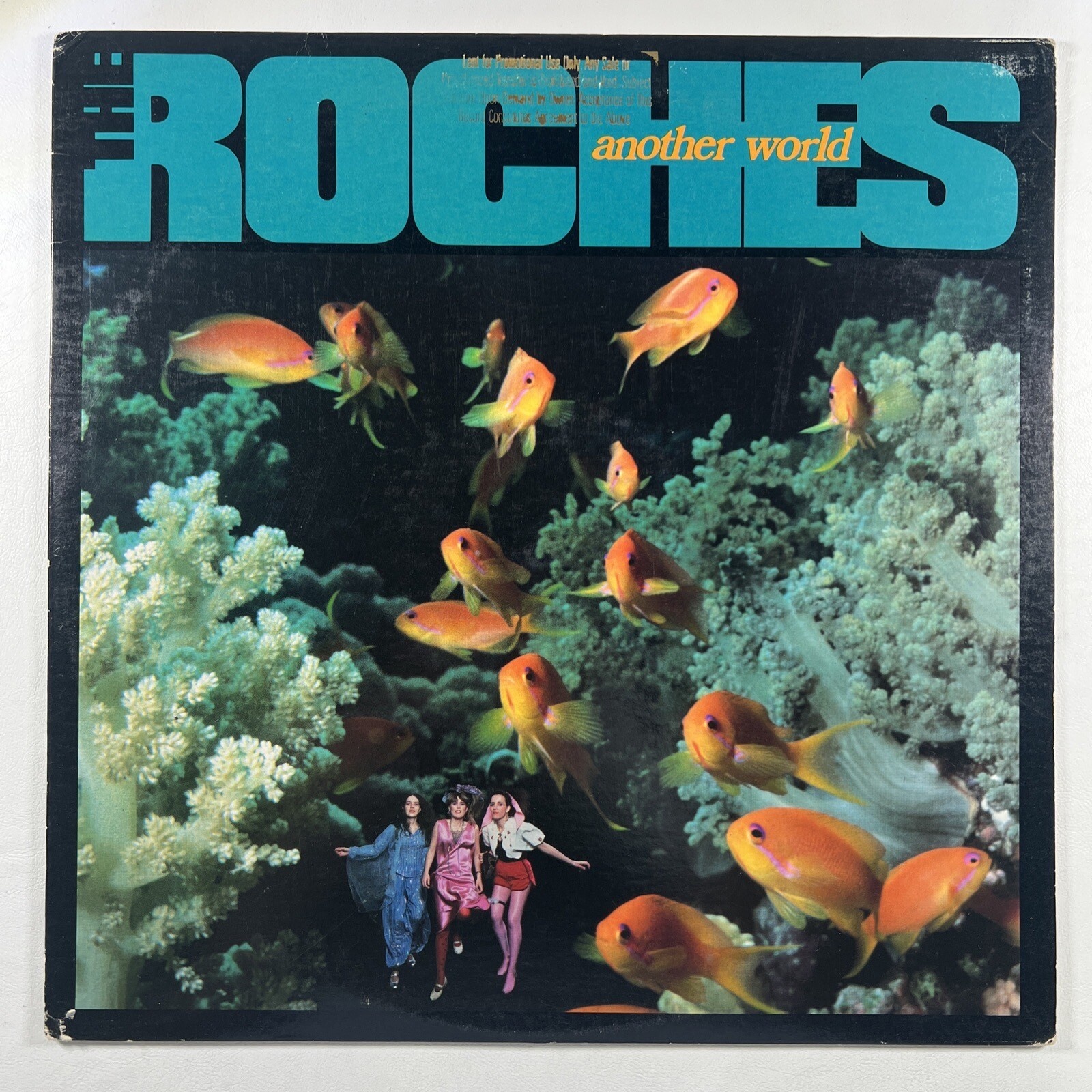 The Roches “Another World” LP/Warner Bros. 1-25321 (NM) 1985 Rock