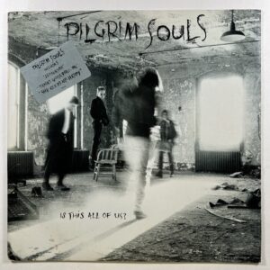 Pilgrim Souls “Is This All Of Us?” LP/Columbia C44414 (NM) Promo 1989 Hype