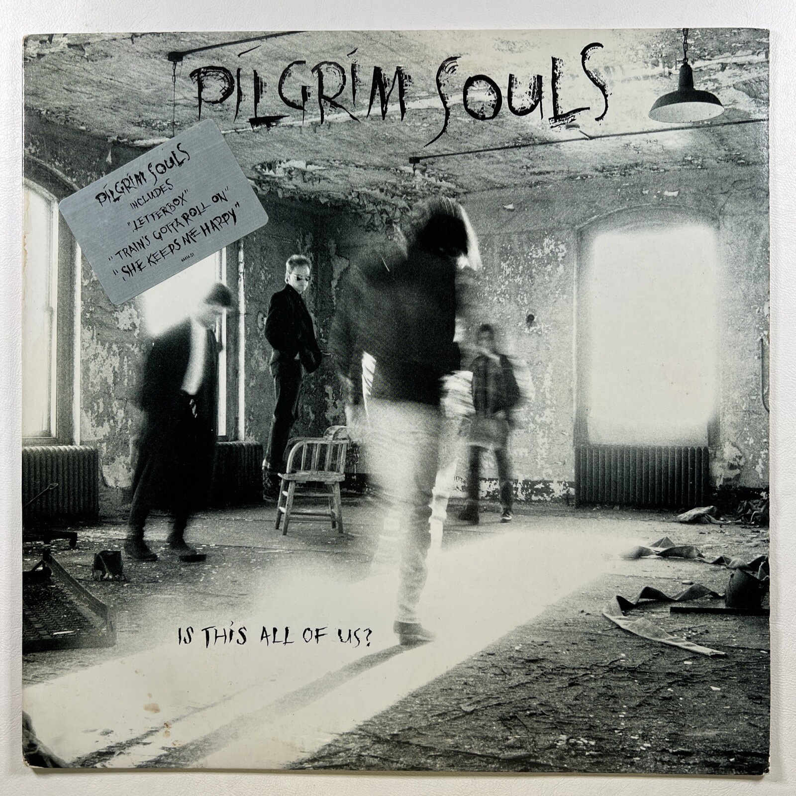 Pilgrim Souls “Is This All Of Us?” LP/Columbia C44414 (NM) Promo 1989 Hype