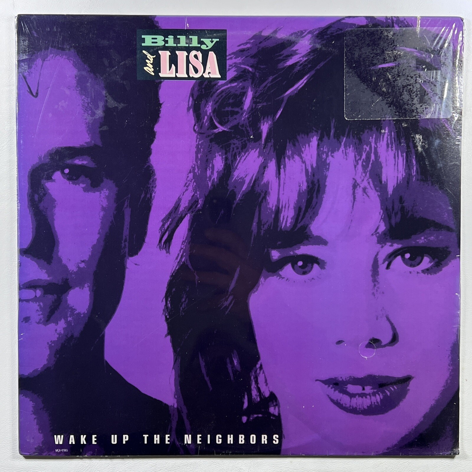 Billy and Lisa “Wake Up The Neighbors” LP/MCA 42065 (Sealed) 1988