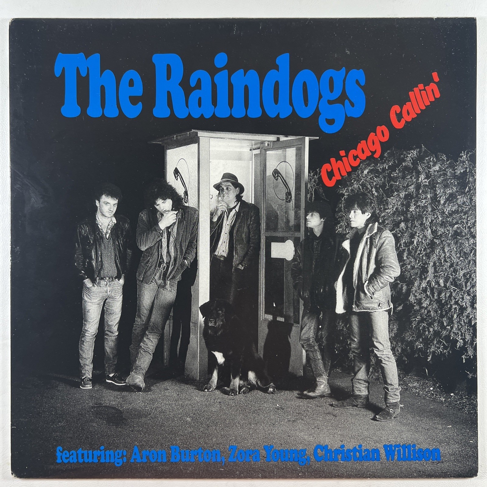 The Raindogs “Chicago Calling’” LP/Self-Released (NM) Switzerland 1988