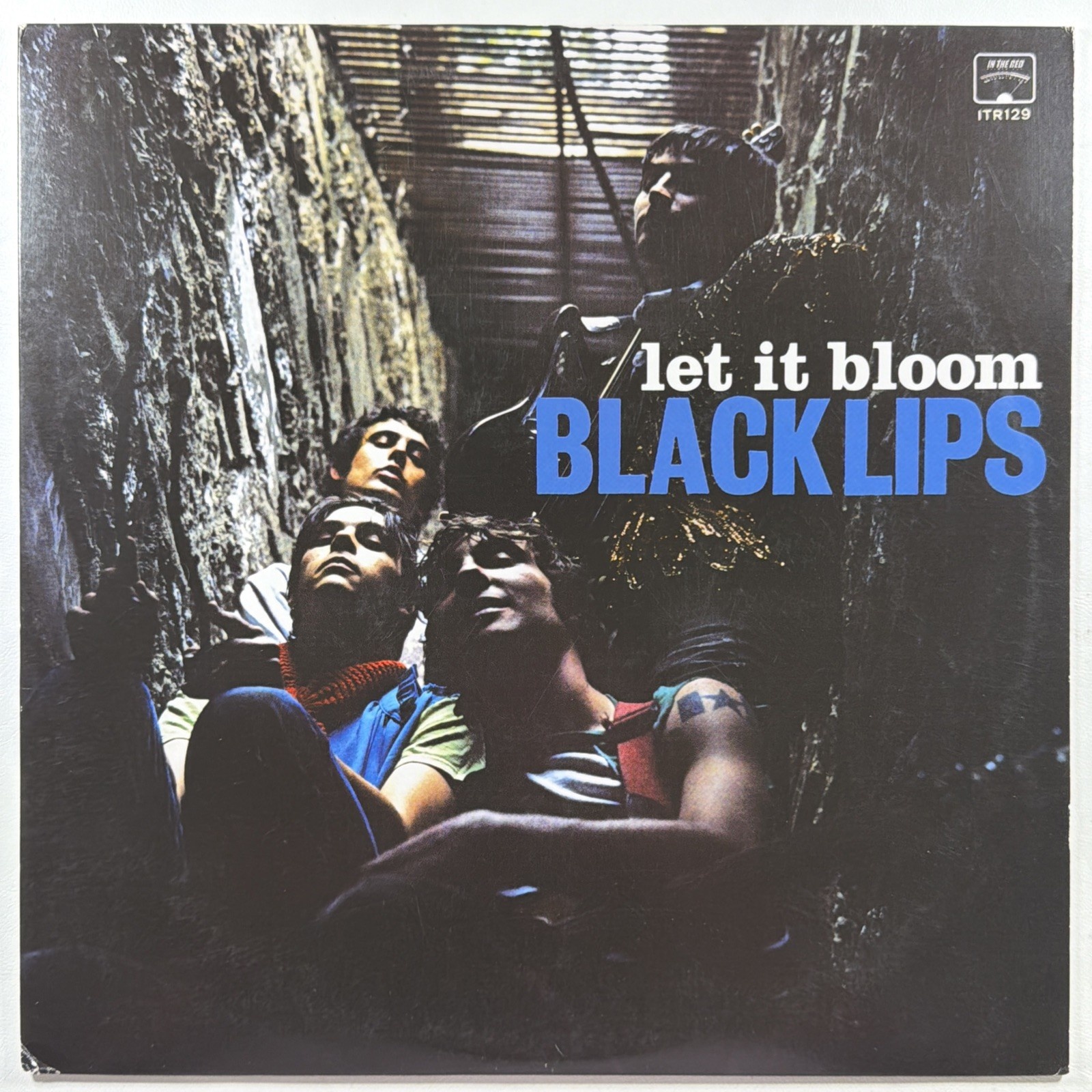 Black Lips - Let It Bloom LP In The Red Record NM 2005 Garage Rock