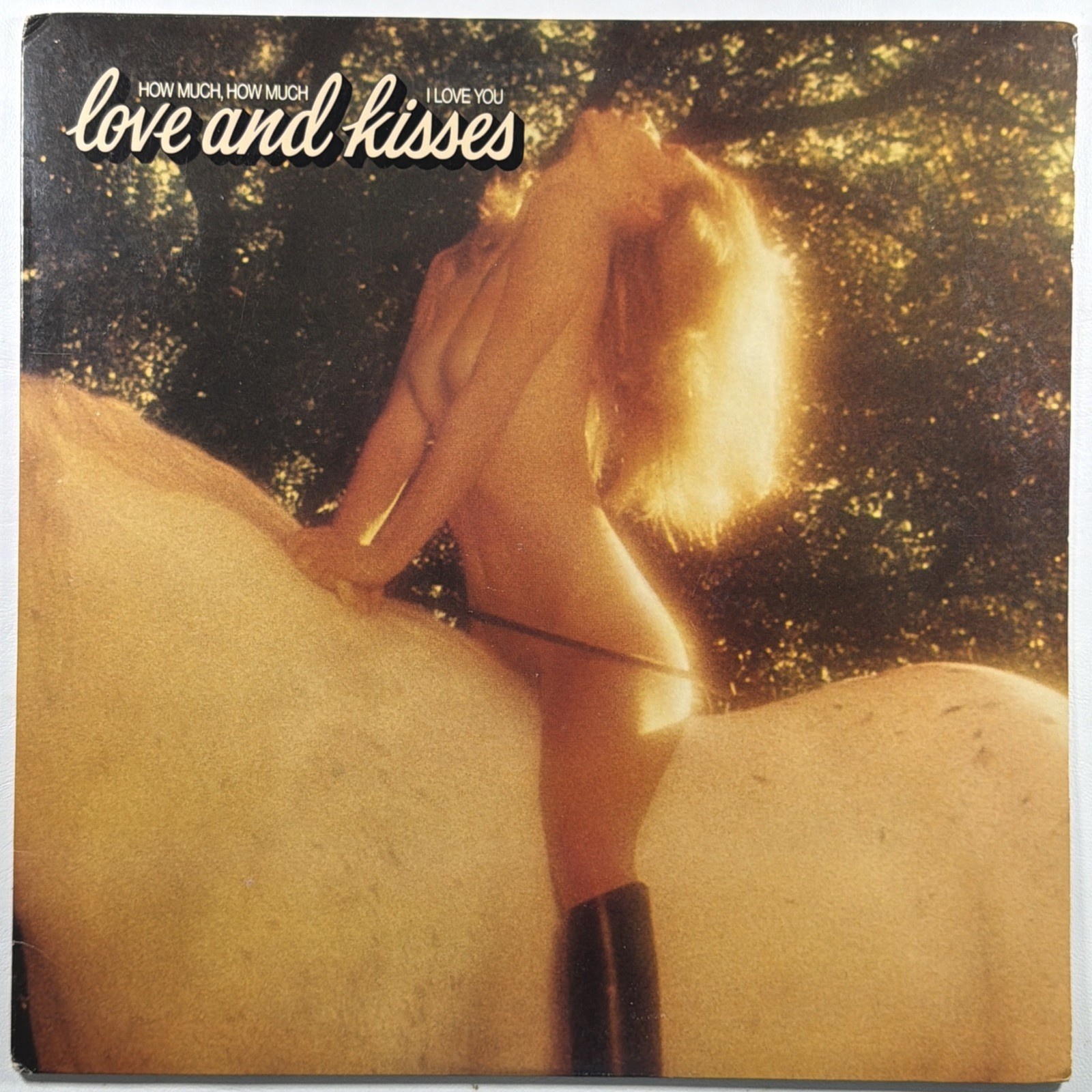 Love & Kisses - How Much, How Much I Love You LP Casablanca EX Promo 1978 Disco
