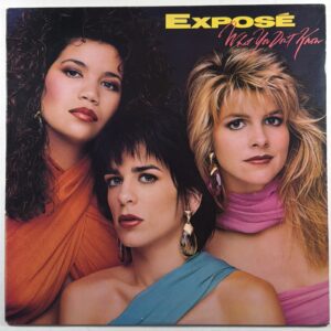 Expose - What You Don’t Know LP Arista AL 8532 NM Insert 1989