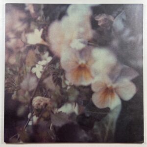 Every Hidden Color “Luz” LP/Streamline 1033 (EX) 2012
