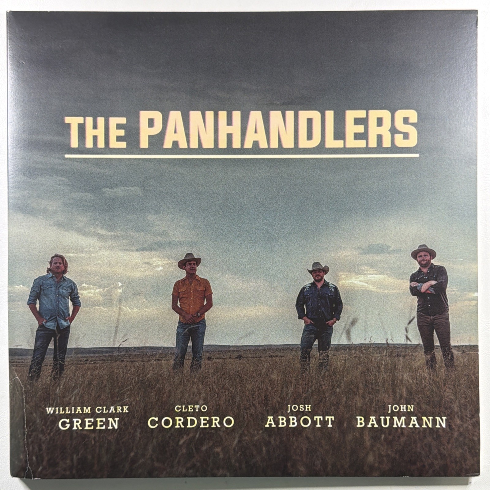 The Panhandlers - Self Titled LP The Next Waltz NM 2020 Insert Gate Country Rock