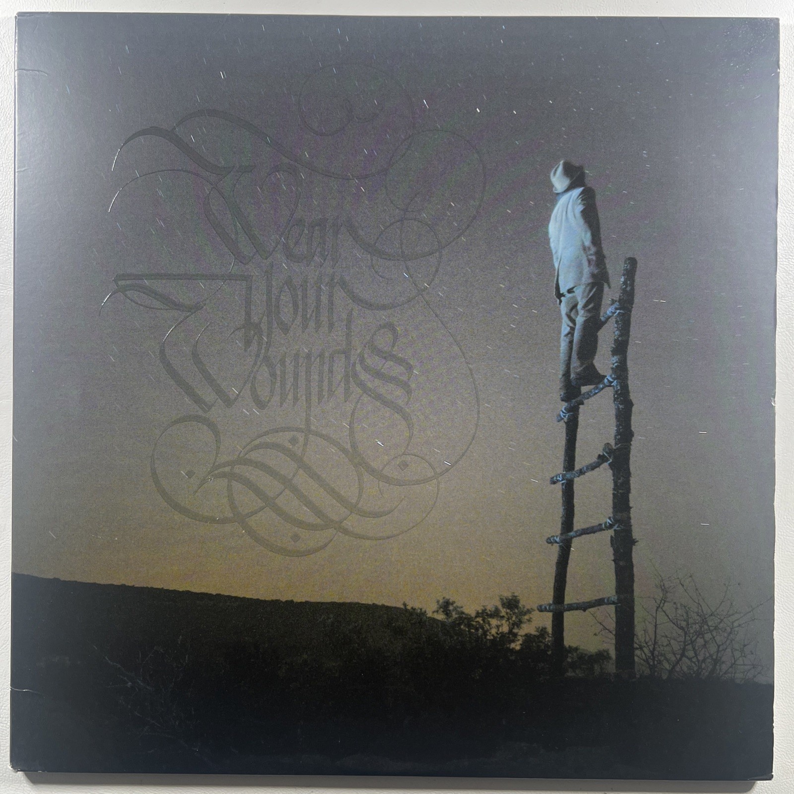 Wear Your Wounds - WYW 2LP Deathwish DW084v NM 2017 Showgaze Rock