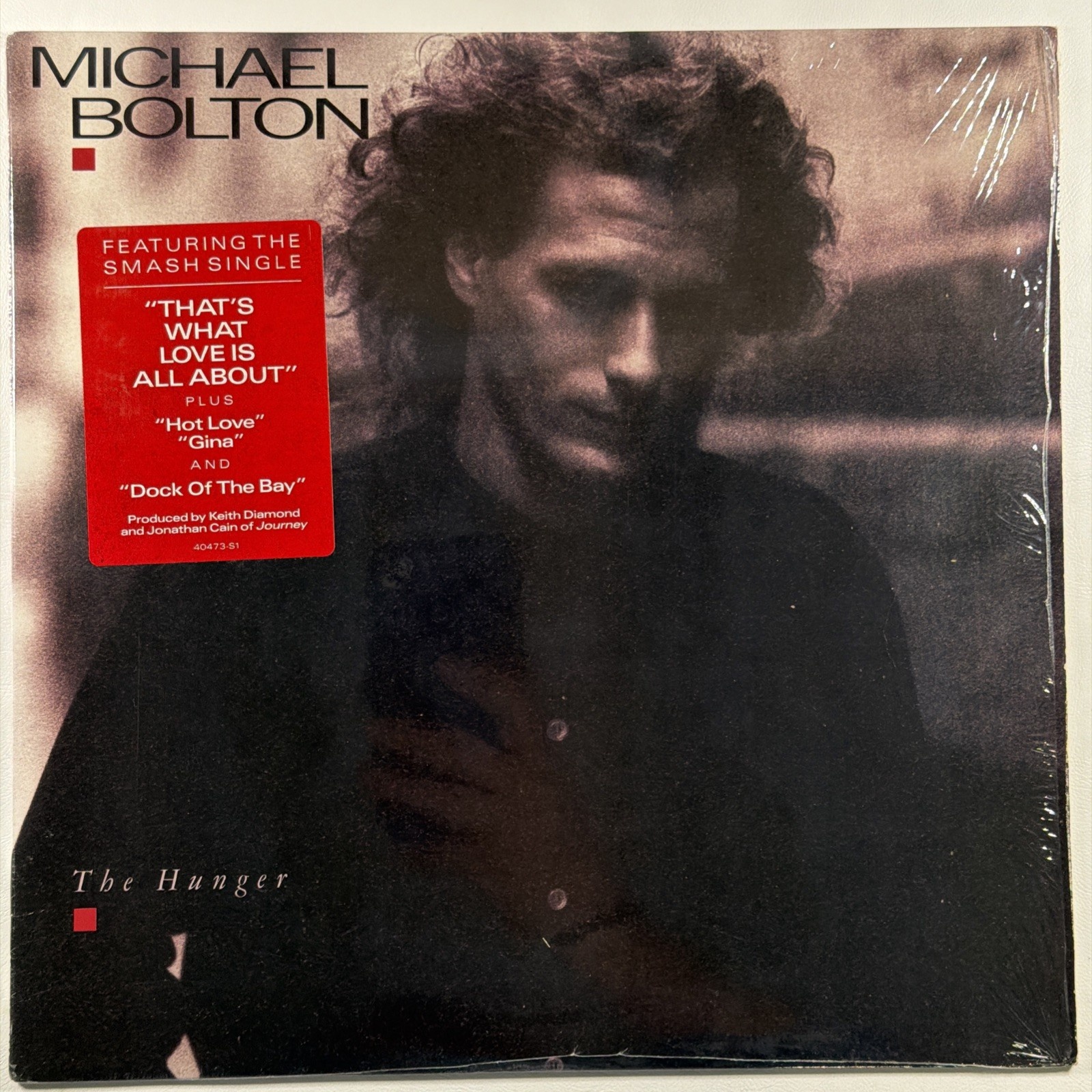 Michael Bolton - The Hunger LP Columbia FC 40473 EX Shrink 1987 Hype Sticker
