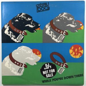 Stray Dog -While You're Down There LP Manticore MA6-501S1 EX Promo 1974