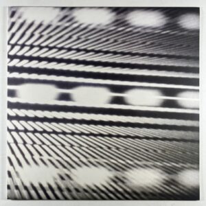 En “Already Gone” LP/Students of Decay (NM) 2012 Ltd Edition Electronic