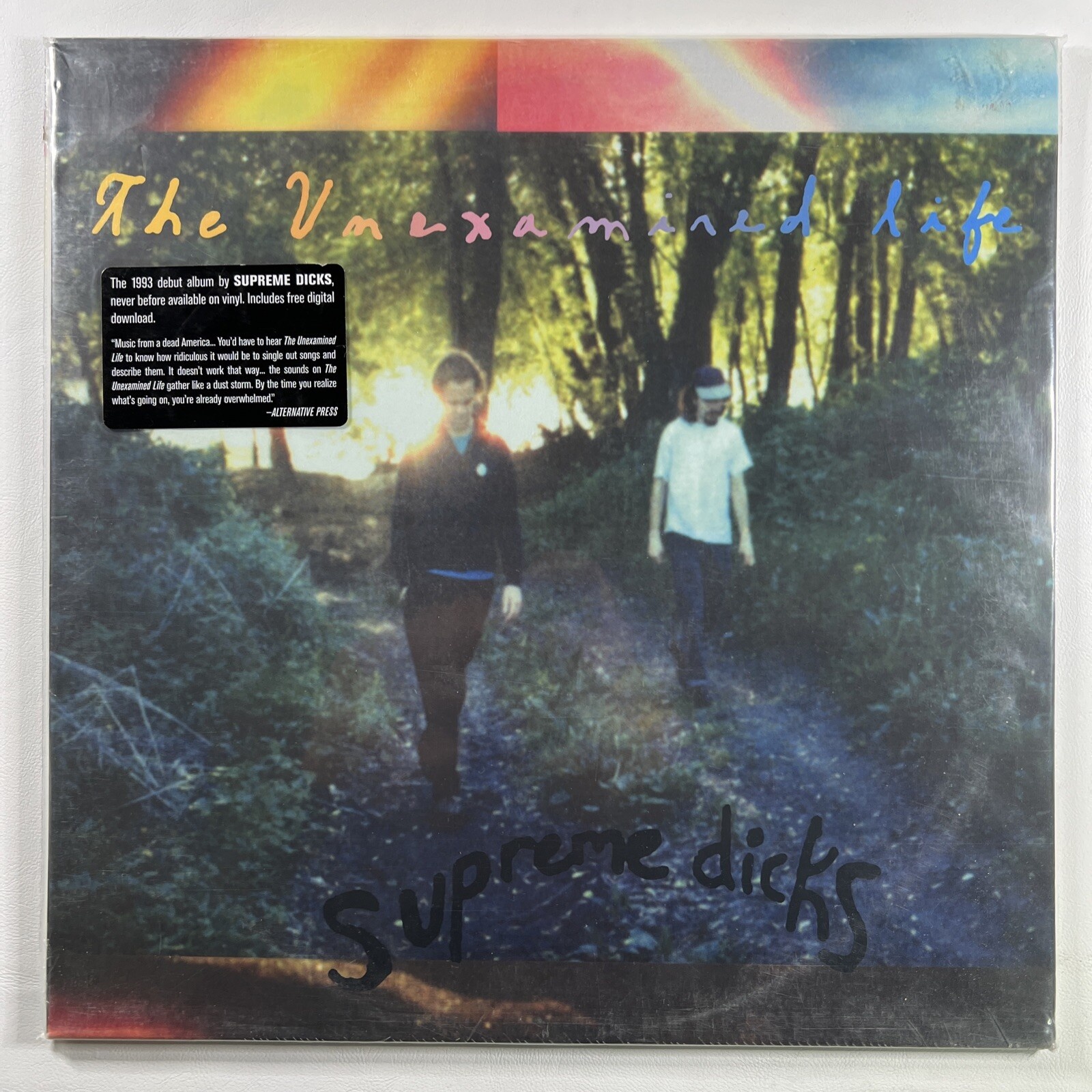 SUPREME DICKS “The Unexamined Life” 2LP/Jagjaguwar (EX) 1993 Debut Insert
