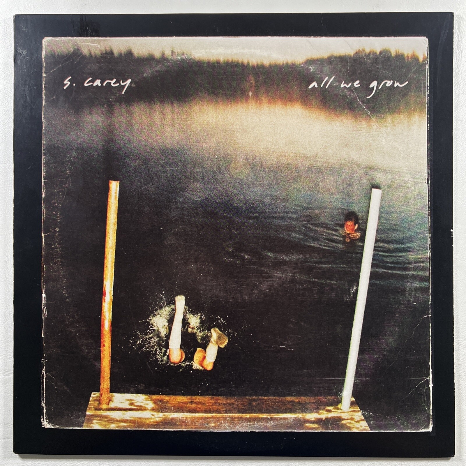 S. Carey “All We Grow” LP/Jagjaguwar (EX) 10th Anv. Deluxe Seaglass Insert 2020