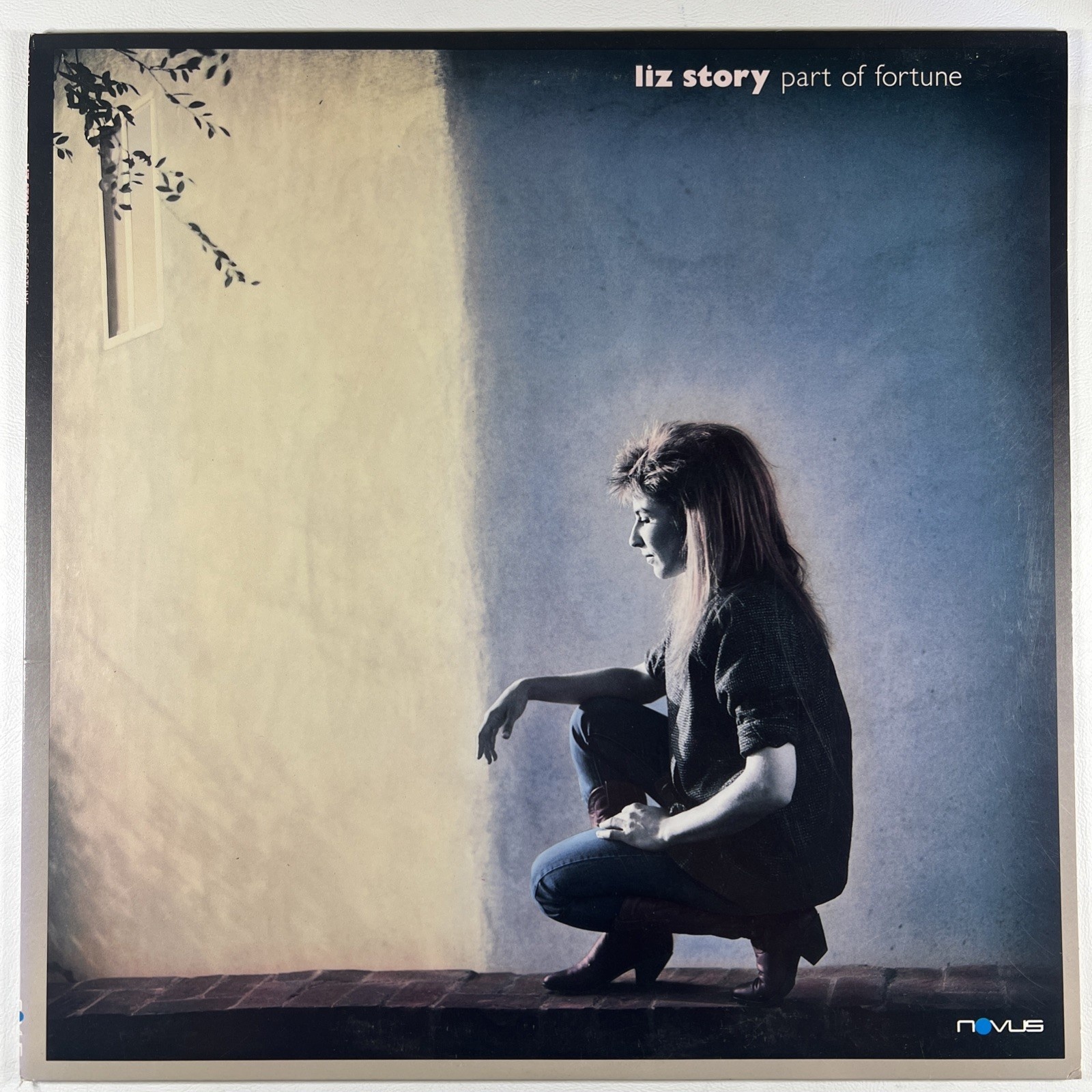 Liz Story - Part Of Fortune LP Novus 3001-1-N 1986 EX New Age Jazz