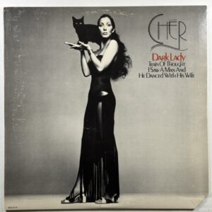 Cher - Dark Lady Train of Thought I Saw a Man… LP MCA Records 2113 NM 1974