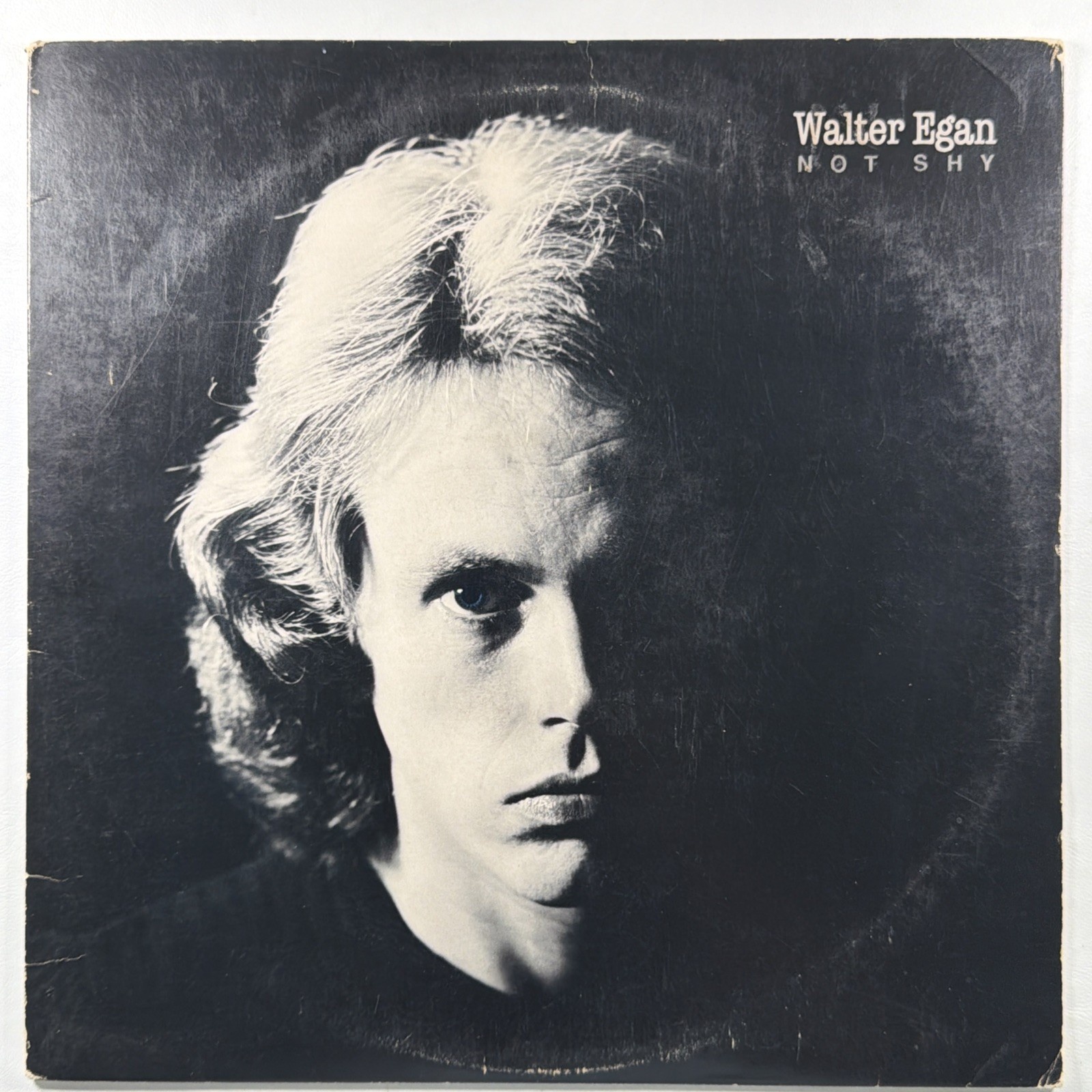 Walter Egan - Not Shy LP Columbia JC 35077 EX 1978 Autographed Magnet & Steel