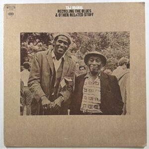 Taj Mahal - Recycling The Blues & Other Related Stuff LP Columbia C31605 VG+