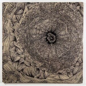 Bookworms “Appropriation Loops” 2LP/Break World Records (NM) 180g Insert 2017