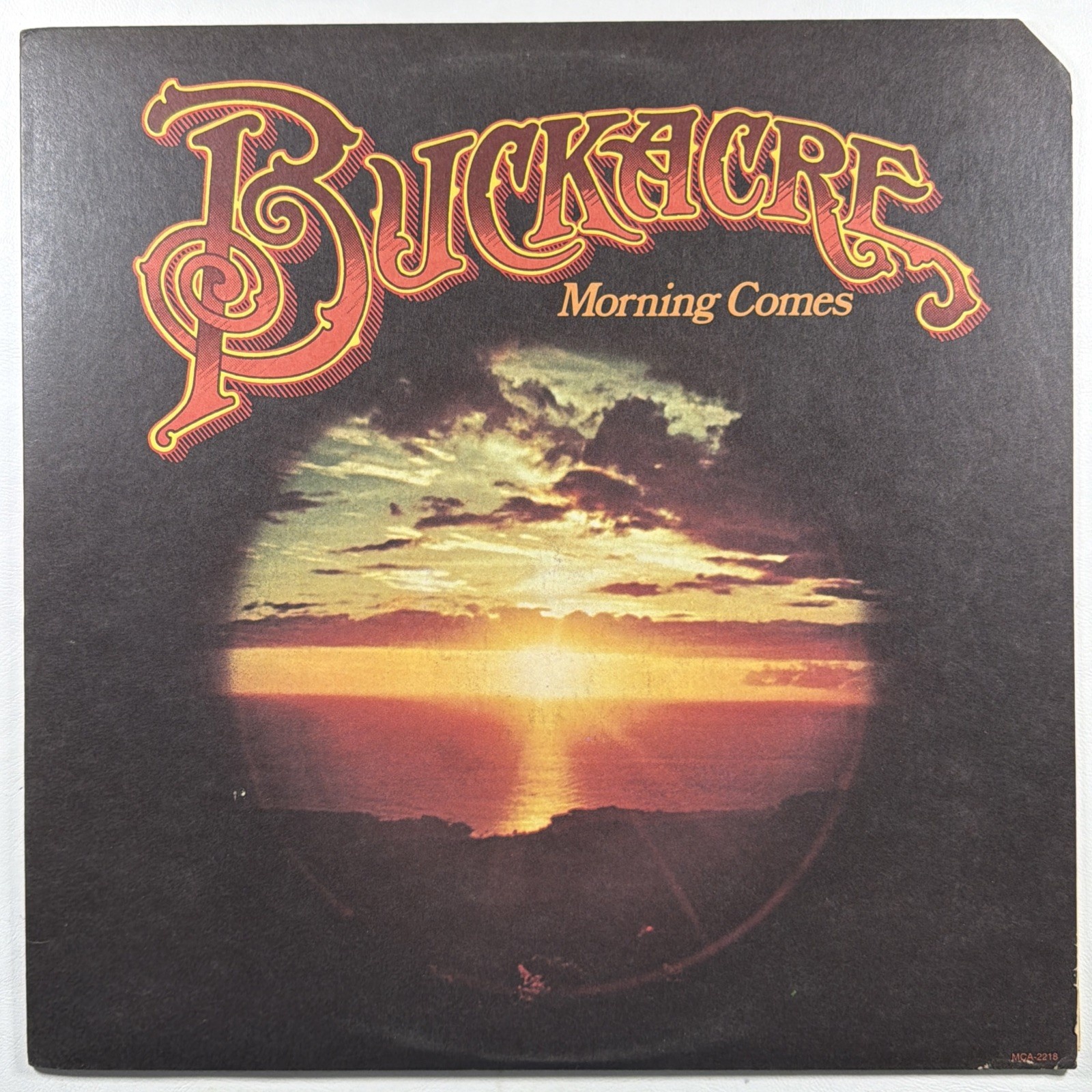 Buckacre - Morning Comes LP MCA-2218 NM 1976 Promo Country Rock