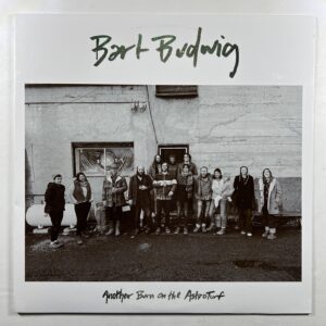 Bart Budwig “Another Burn On The Astroturf” LP/Fluff & Gravy FNG061 (EX) 180g