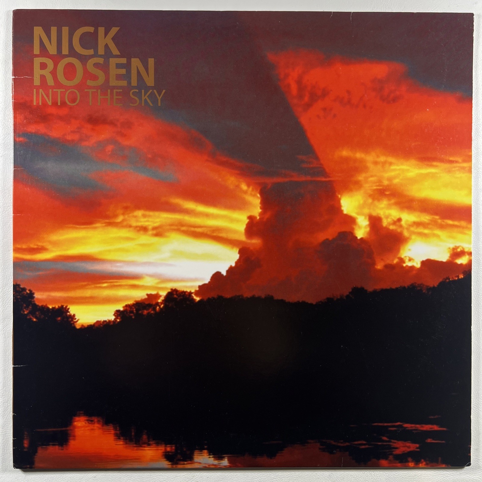 Nick Rosen - Into The Sky LP Porter Records LP 2010 Single 7” Included