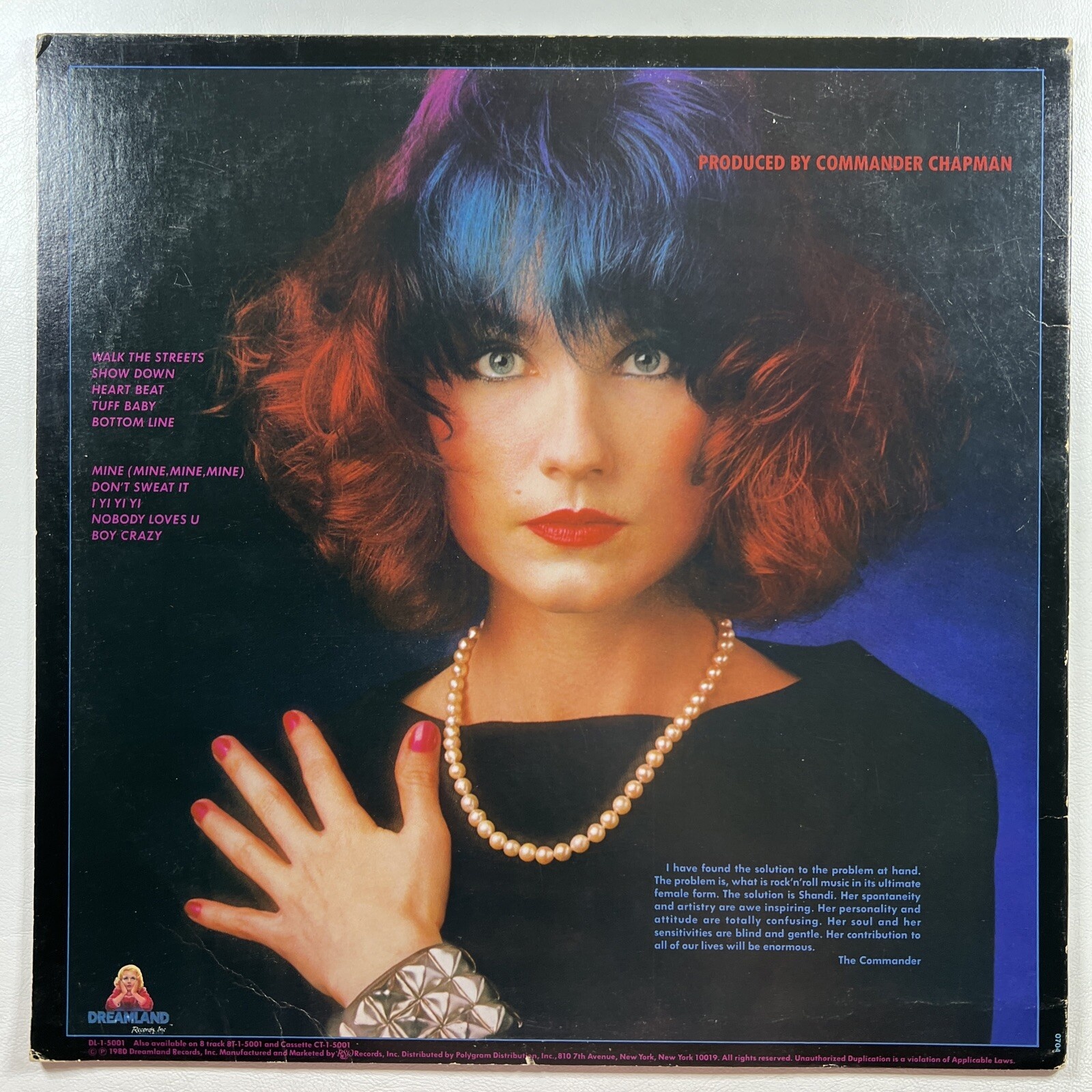 Shandi - Shandi LP Dreamland DL-1-5001 EX 1980 Pop Rock - Image 2
