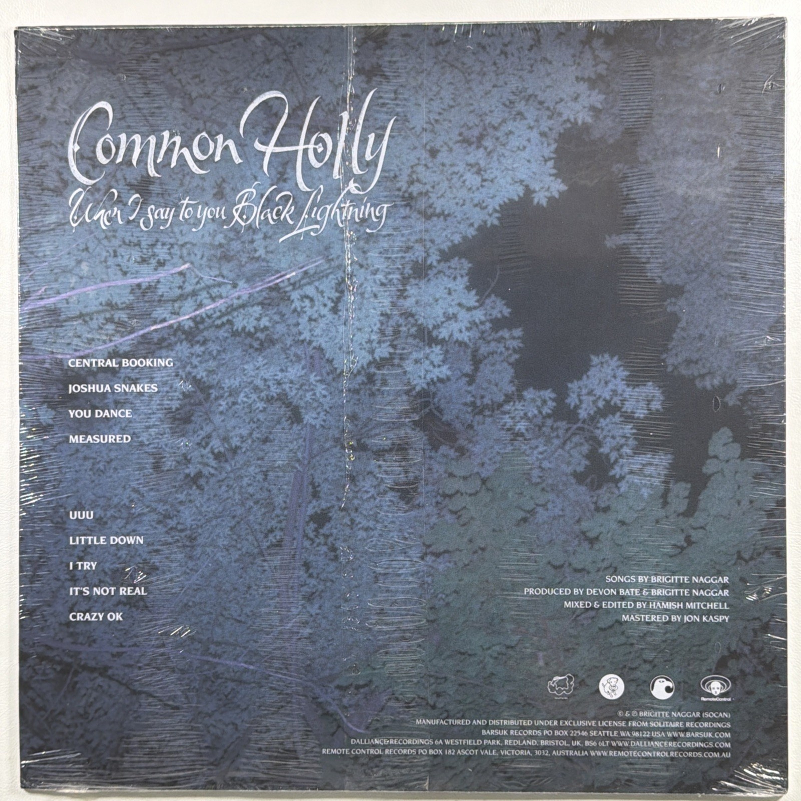 Common Holly - When I say to you Black Lightning LP Barsuk BARK190 Ltd Ed Blue - Image 2