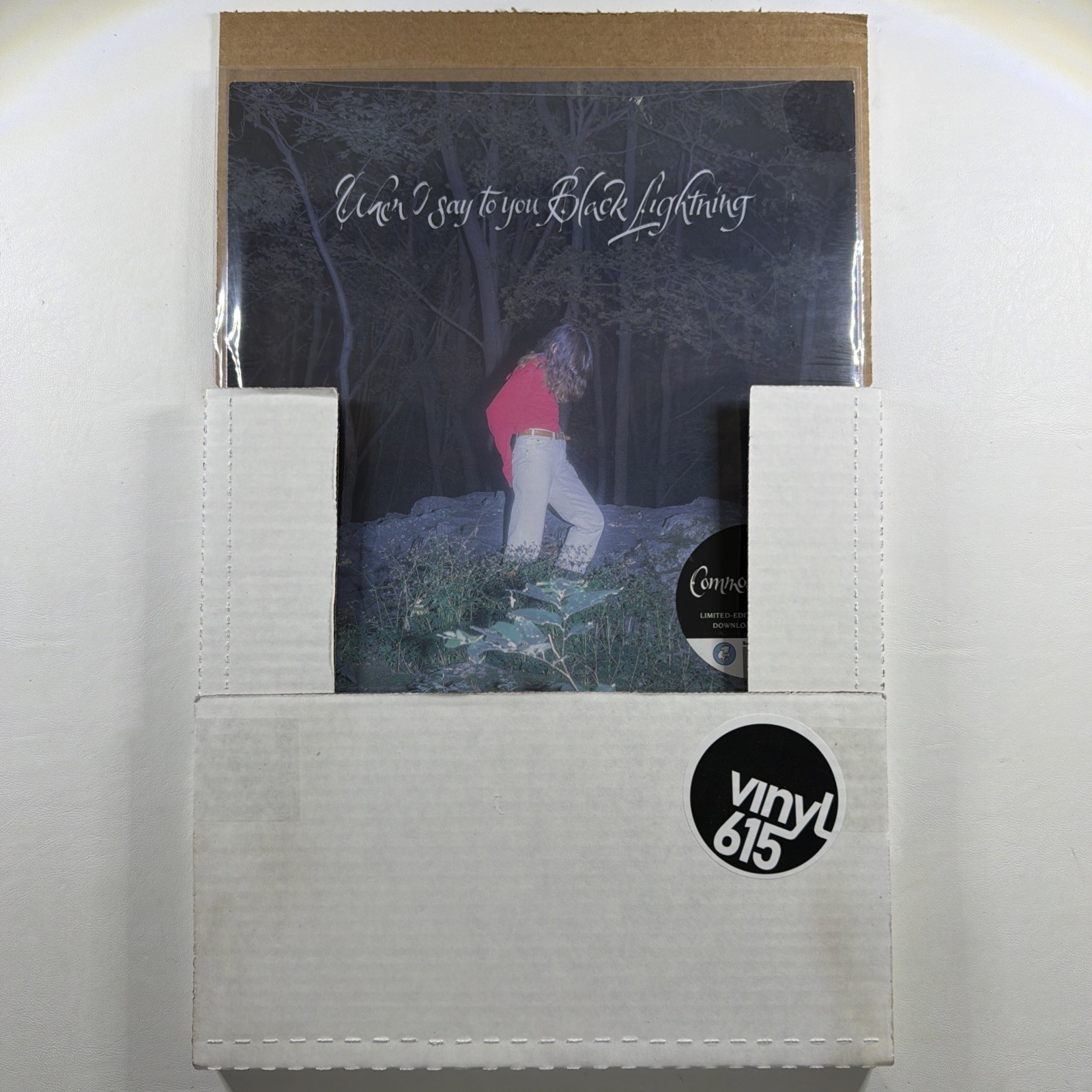 Common Holly - When I say to you Black Lightning LP Barsuk BARK190 Ltd Ed Blue - Image 3