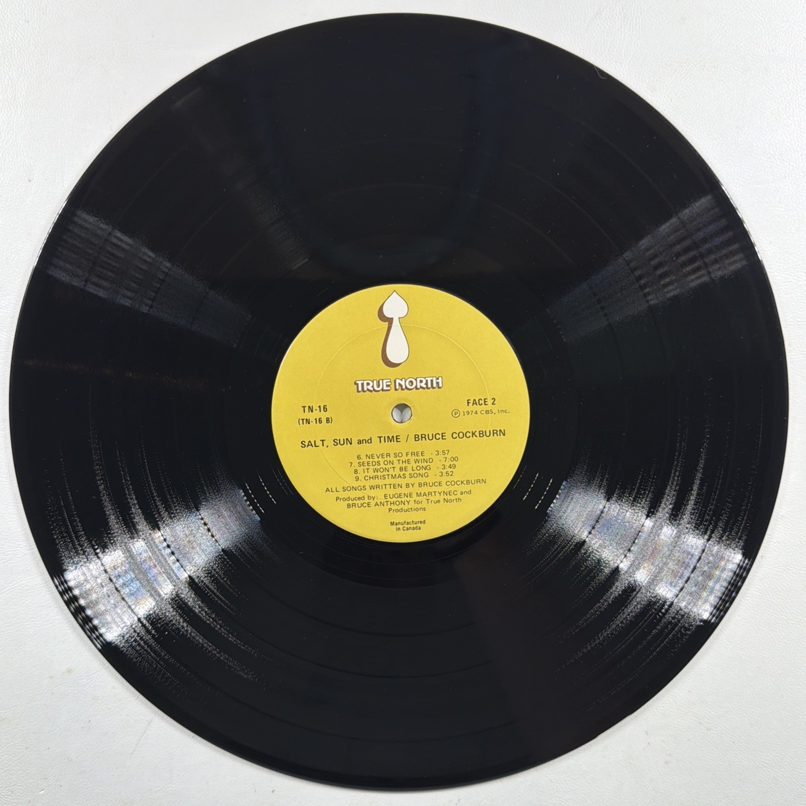 Bruce Cockburn – Salt, Sun And Time LP True North TN 16 Canada VG+ Gatefold 1974 - Image 6