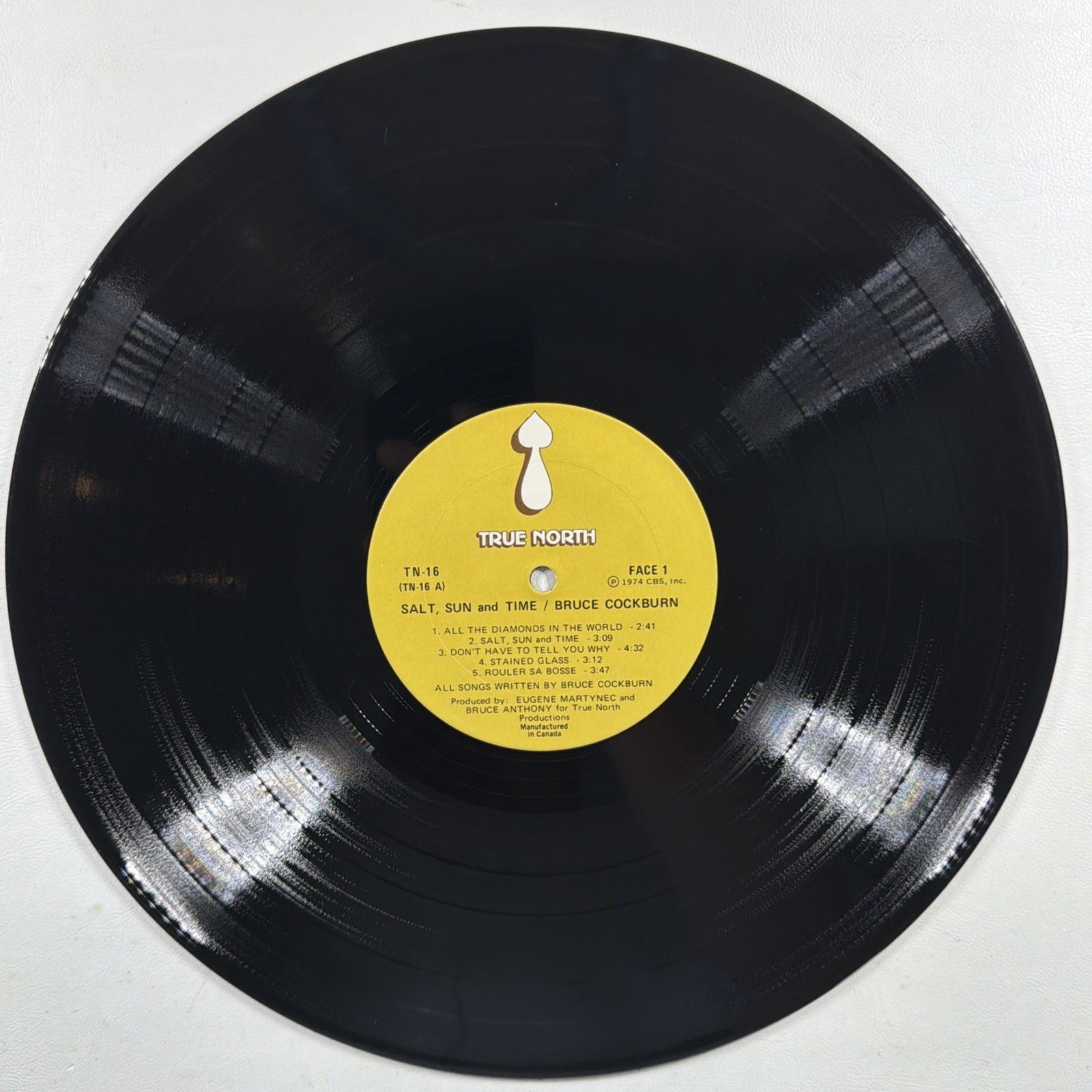 Bruce Cockburn – Salt, Sun And Time LP True North TN 16 Canada VG+ Gatefold 1974 - Image 7
