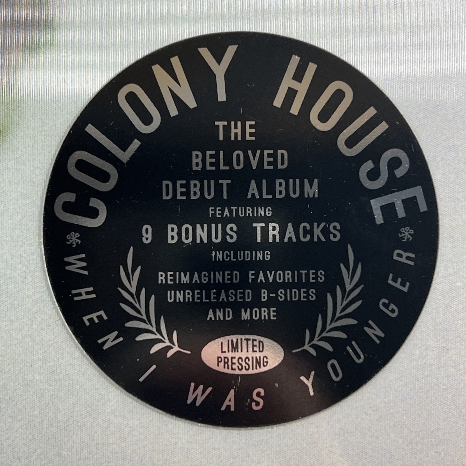 Colony House - When I Was Younger/10 Years Later 2LP/Ltd Coke Glitter 180g 2024 - Image 3