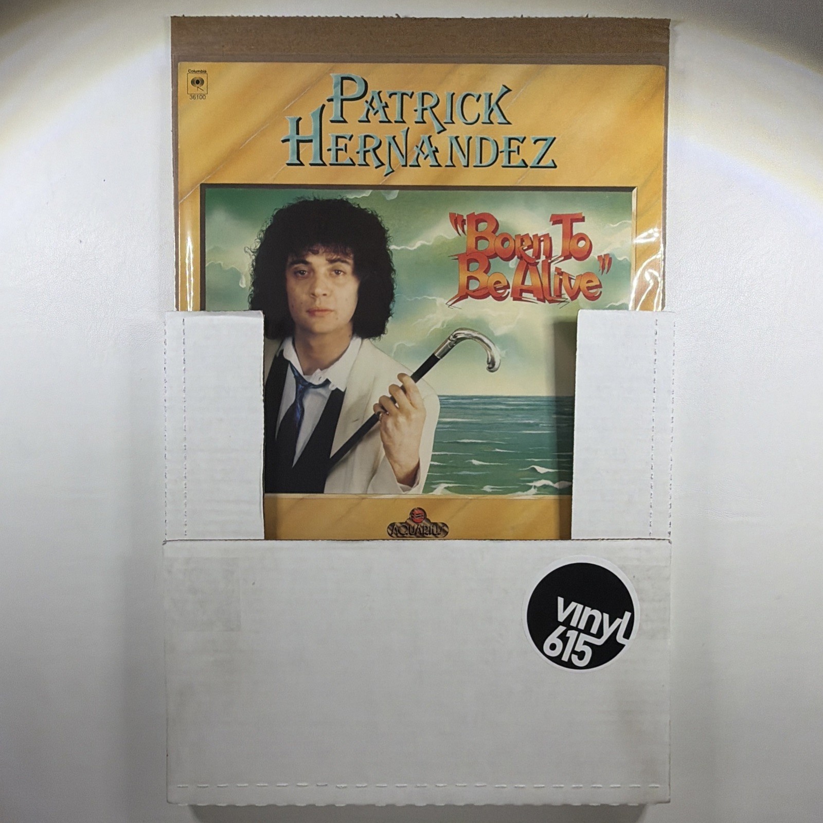 Patrick Hernandez - Born To Be Alive LP Columbia 36100 NM White Label Promo 1979 - Image 7