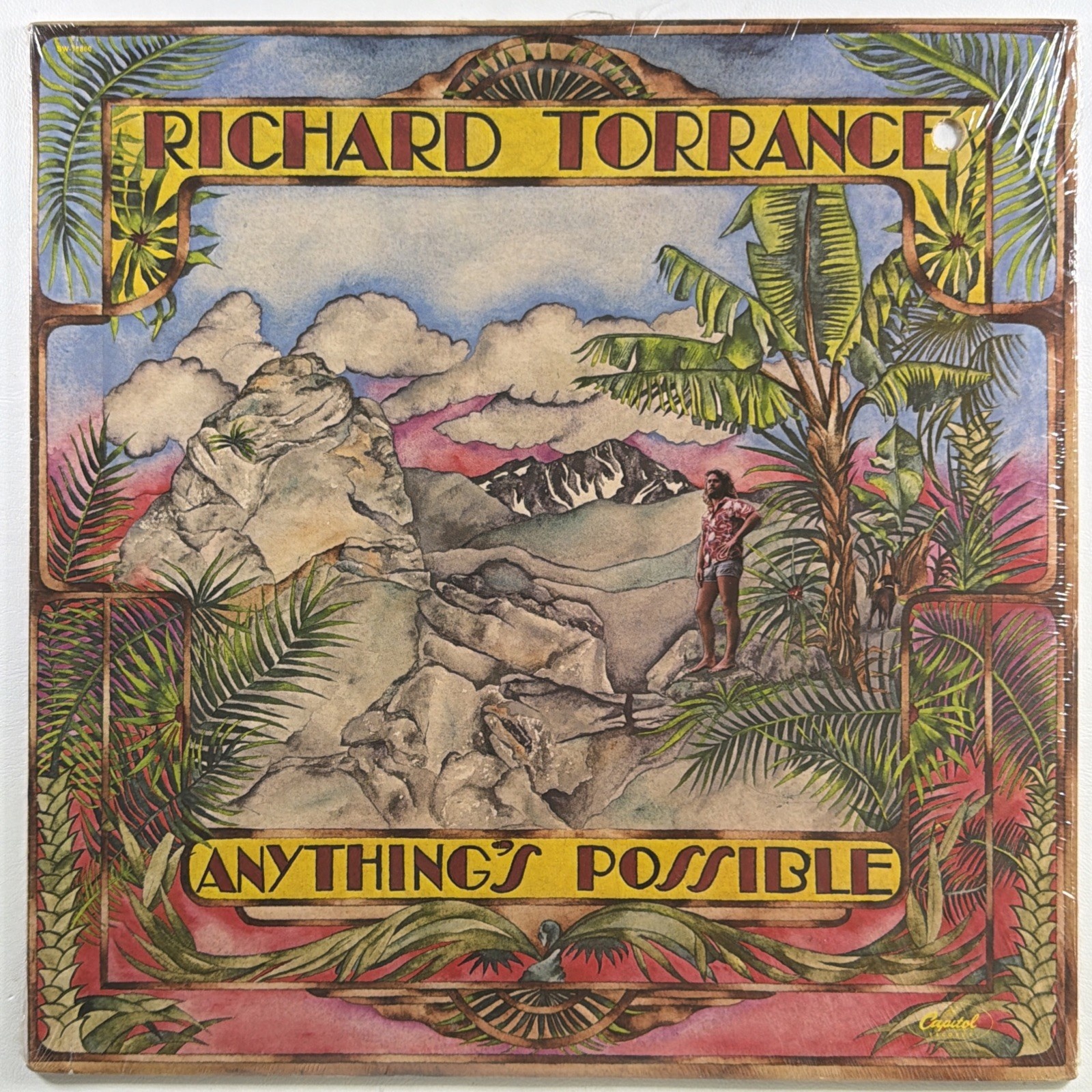 Richard Torrance - Anything's Possible LP Capitol SW-11860 Sealed 1978