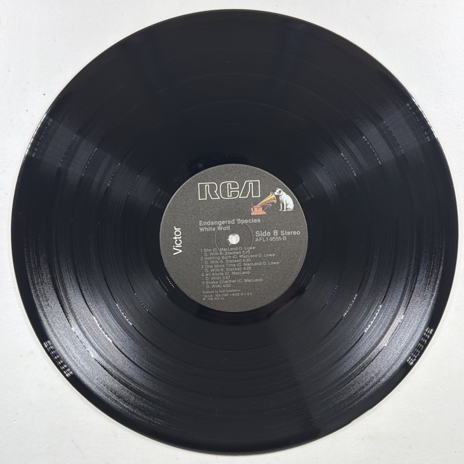 White Wolf - Endangered Species LP RCA AFL1-9555 EX 1986 Heavy Metal Rock - Image 5