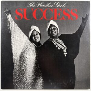 The Weather Girls - Success LP Columbia BFC 38997 EX 1983 It’s Raining Men