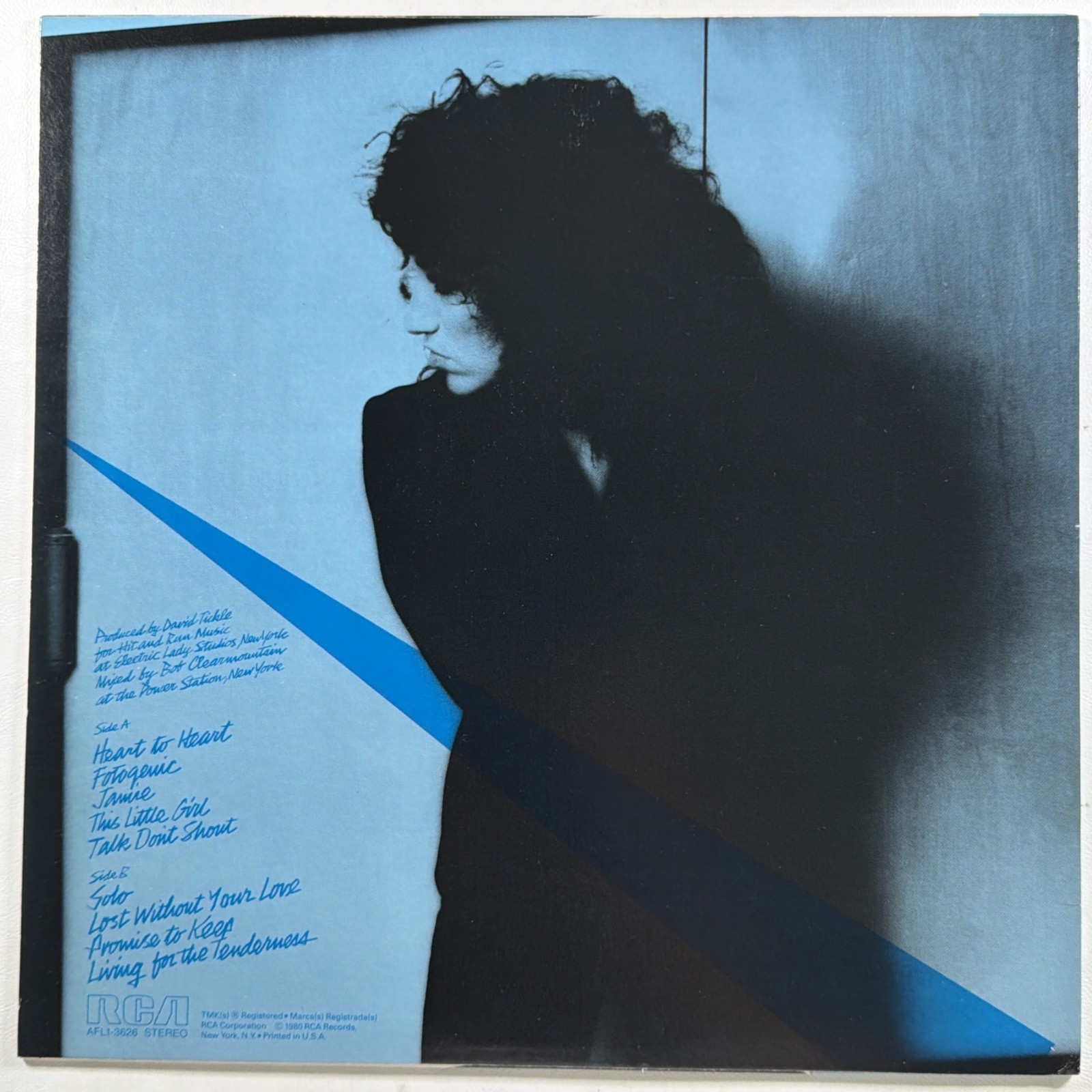 Ellen Shipley - Breaking Through The Ice Age LP RCA Records AFL1-3626 1980 - Image 2