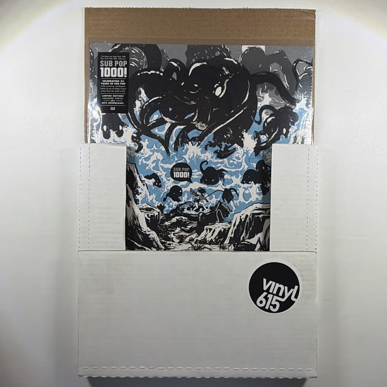 Sub Pop 1000! 25 Years LP Ltd Ed RSD 5k Press 2013 Blue Marble Sealed - Image 4